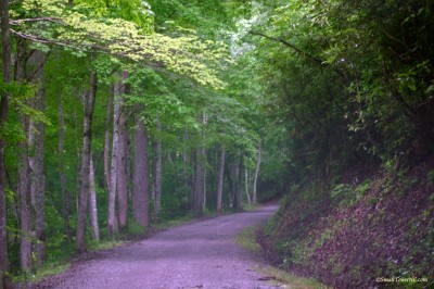 CataloocheeValley_Turnpike