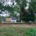 Jesse Dean Family Cemetery—Street View